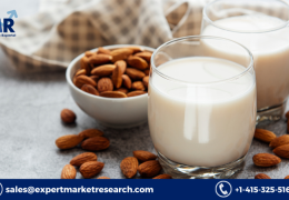 Global Nut Milk Market Size To Grow At A CAGR Of 11.40% In The Forecast Period Of 2023-2028