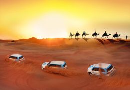 <strong>Things to do in Dubai after your desert safari trip:</strong>