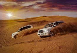 <strong>What essential things you should bring for desert safari Dubai:</strong>