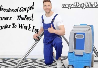 <strong>Professional Carpet Cleaners – TheBest Companies To Work For</strong>
