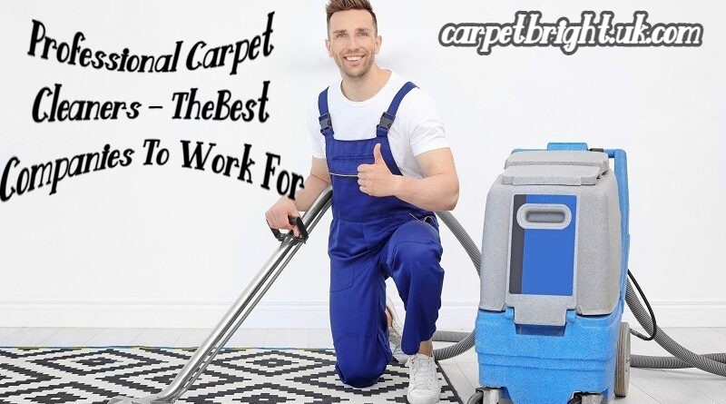 <strong>Professional Carpet Cleaners – TheBest Companies To Work For</strong>
