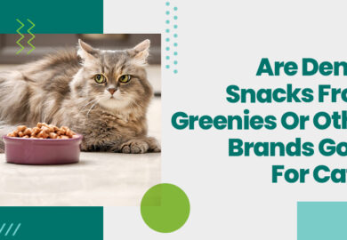 Are Dental Snacks From Greenies Or Other Brands Good For Cats?