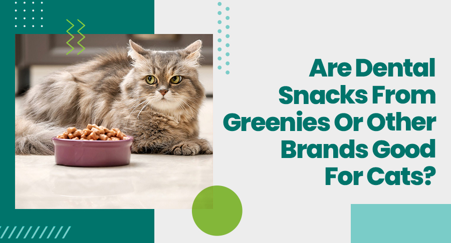 Are Dental Snacks From Greenies Or Other Brands Good For Cats?