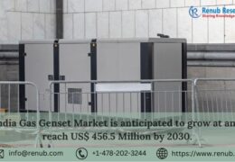 Gas Gensets in India: Charting a Path towards Sustainable and Reliable Energy Solutions | Renub Research