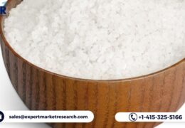 Global Monosodium Glutamate Market To Be Driven By The Amplifying Demand From The Food Processing Industries In The Forecast Period Of 2023-2028 | EMR Inc.