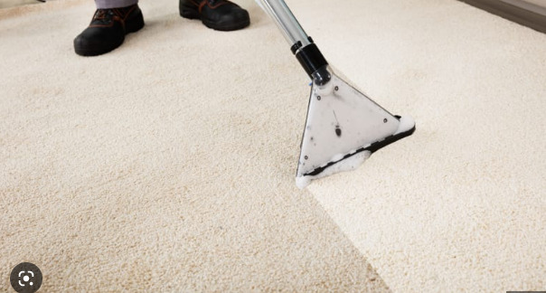 How do you deep clean carpets at home?