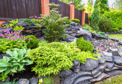 The Able Assistant – Landscape Contractor