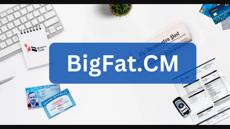 BigFat: Navigating Cvv Dumps and Cvv2 Bins