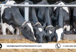 Global Cattle Feed Market Size, Share, Outlook, Trends, Growth, Analysis, Forecast 2023-2028