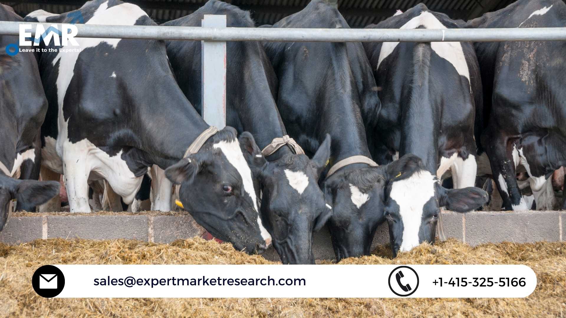 Global Cattle Feed Market Size, Share, Outlook, Trends, Growth, Analysis, Forecast 2023-2028