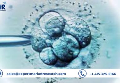 Global Human Embryonic Stem Cell Market Size, Share, Outlook, Trends, Growth, Analysis, Forecast 2023-2028