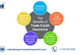 Global Trade Credit Insurance Market Size To Grow At A CAGR Of 8.6% In The Forecast Period Of 2023-2028