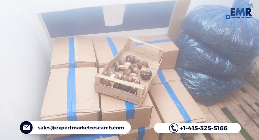 Global Folding Boxboard Market Size, Share, Report, Trends, Growth, Key Players, Forecast 2023-2028