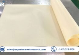 Global Ion Exchange Membrane Market Size, Share, Report, Trends, Growth, Key Players, Forecast 2023-2028