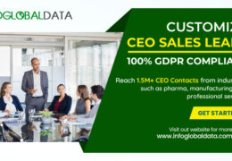 Effective Email Marketing Campaigns with a CEO Email List