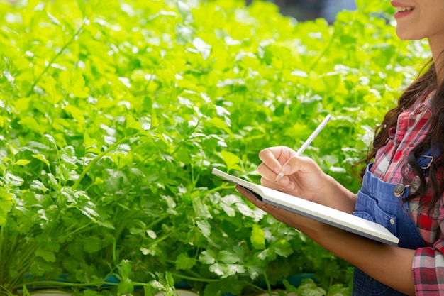 Agriculture Market Research Report: Highlighting Key Findings and Development Prospects