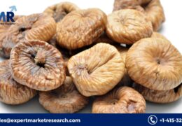 Global Air-Dried Food Market Share, Size, Trends, Growth, Analysis, Report, Forecast 2023-2028