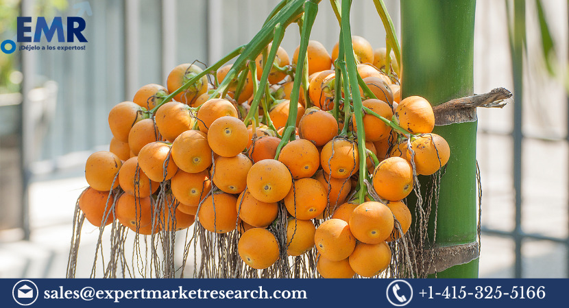 Global Areca Nut Market Size To Increase At A CAGR Of 4.50% In The Forecast Period Of 2023-2028