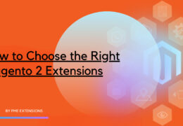 How to Choose the Right Magento Extensions: Exploring Magento Extensions