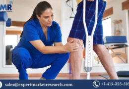 Global Chronic Inflammatory Demyelinating Polyneuropathy (CIDP) Treatment Market Size To Grow At A CAGR Of 6.9% In The Forecast Period Of 2023-2031