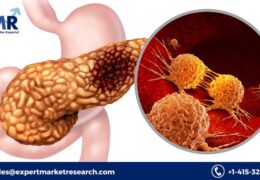 Global Exocrine Pancreatic Insufficiency Treatment Market Share, Size, Trends, Growth, Analysis, Report, Forecast 2023-2028