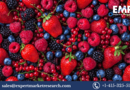 Global Fresh Berries Market Share, Size, Trends, Analysis, Report and Forecast 2023-2028