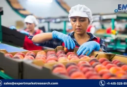 Global Fruit Concentrate Market Share, Report, Trends, Growth, Size, Key Players, Forecast 2023-2028