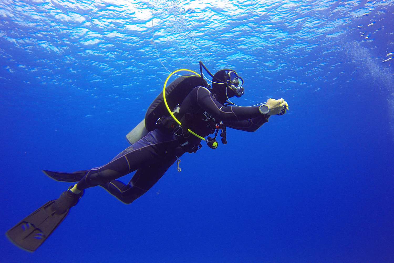 Richard Bellord on Remote ocean Plunging: Business Jumping Courses