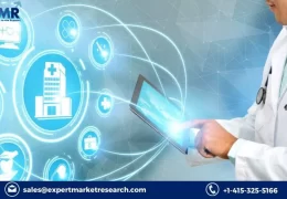 Global Healthcare Cyber Security Market Size, Share, Key Players, Growth, Report, Trends Forecast 2023-2028