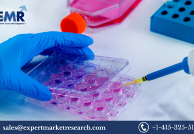 Global In Vitro Toxicology Testing Market Size, Share, Price, Trends, Growth, Report and Forecast 2023-2028