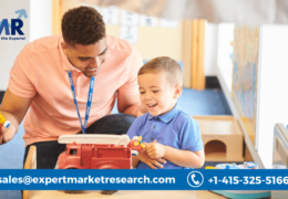 India Pre-School/Childcare Market Share, Growth, Outlook, Report and Forecast Period Of 2023-2028