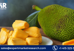 Jackfruit Market Analysis, Price, Size, Share, Report, Forecast 2023-2028