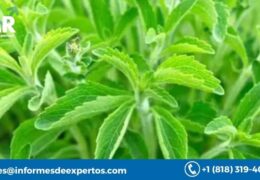 The Latin America Stevia Market on a Steady Growth Trajectory with a Projected CAGR of 5.7% during 2023-2028