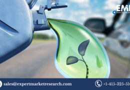 Global Liquid Biofuels Market Size To Grow At A CAGR Of 6.30% In The Forecast Period Of 2023-2028