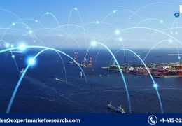 Global Network Traffic Analyser Market Key Players, Report, Trends, Share, Growth, Size, Forecast 2023-2028