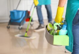 Regular House Cleaning Service