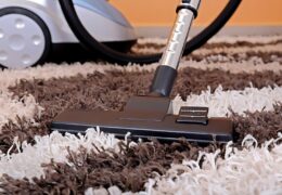 Deep Clean, Fresh Start: Professional Carpet Cleaning Services