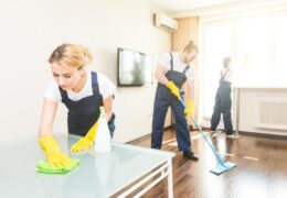 Effortless Cleaning Professional Carpet Cleaning at Your Service