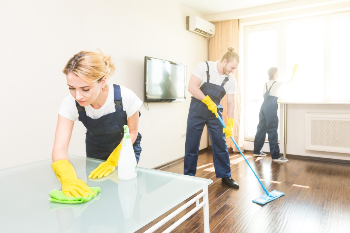 Effortless Cleaning Professional Carpet Cleaning at Your Service