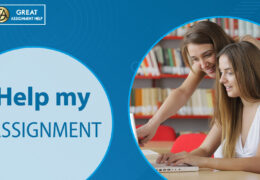 Who can seek help my assignment?