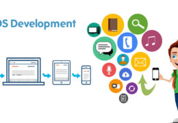 The Role of Data Privacy in iOS App Development, Ireland