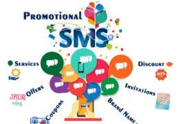 Promotional Bulk SMS: The Pathway to Flourishing Customer Relationships