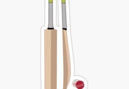 Swing with Style: The Cricket Bat Sticker Revolution!