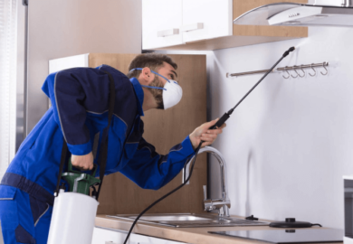 How to Maintain Your Property: Tips to Hire a Professional Pest Control Service