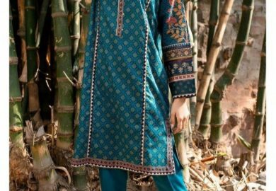How to Save Money and Get Discounts on Pakistani Dresses Online in the UK?