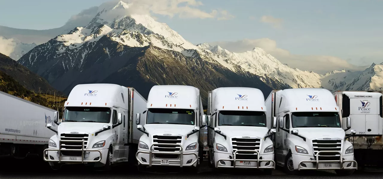 Navigating Success: The Dynamics of a Thriving Truck Company