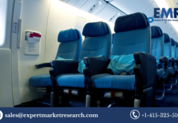 Global Aircraft Seat Upholstery Market Share, Size, Price, Outlook, Report and Forecast Period Of 2023-2028