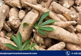 Asia Pacific Cassava Processing Market Share, Trends, Growth, Analysis, Report, Forecast 2023-2028