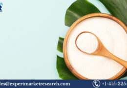 Global Atelocollagen Market Size, Share, Trends, Growth, Analysis, Report, Forecast 2023-2028