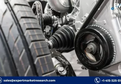 Global Automotive Radiator Hose Market Share, Price, Trends, Growth, Analysis, Report, Forecast 2023-2028